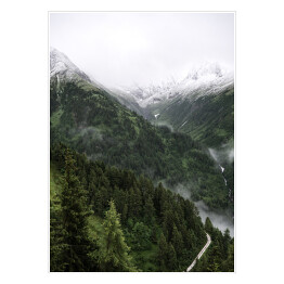 Plakat Krajobraz z zieloną polaną, drzewami na wzgórzu oraz ośnieżonymi górami