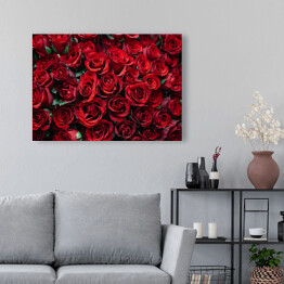 Obraz na płótnie Rozłożone kwitnące czerwone róże 