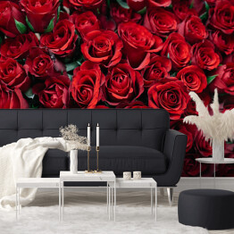 Fototapeta samoprzylepna Rozłożone kwitnące czerwone róże 