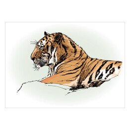 Plakat Tygrys w dżungli - rysunek