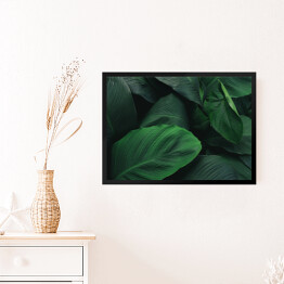 Obraz w ramie Duże, ciemne, tropikalne, ciemnozielone liście