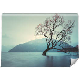 Fototapeta winylowa zmywalna Drzewo w Lake Wanaka, Wyspa Południowa, Nowa Zelandia krajobraz