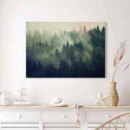 Obraz na płótnie Mglisty krajobraz z lasem jodłowym w stylu hipster vintage retro