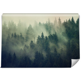 Fototapeta samoprzylepna Mglisty krajobraz z lasem jodłowym w stylu hipster vintage retro