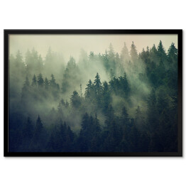 Plakat w ramie Mglisty krajobraz z lasem jodłowym w stylu hipster vintage retro