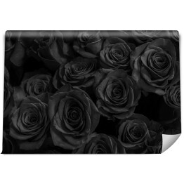 Fototapeta samoprzylepna Stylowe czarne róże