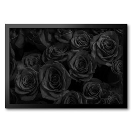 Obraz w ramie Stylowe czarne róże
