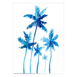 Błękitne palmy