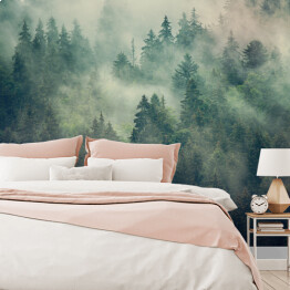 Fototapeta winylowa zmywalna Zamglony krajobraz z lasem jodłowym w stylu retro hipster vintage