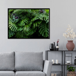 Plakat w ramie Zielone tropikalne liście Monstera, paproć, i palmowe fronty las deszczowy foliage roślina krzew kwiatowy układ na ciemnym tle, naturalny liść tekstury natury tło.