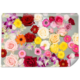 Fototapeta samoprzylepna Barwne kwiaty na popielatym tle