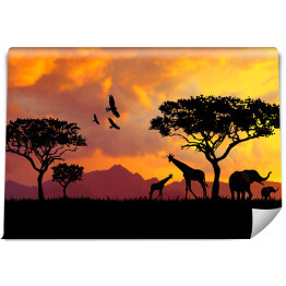 Fototapeta Ilustracja jasny zachód słońca w Afryce, safari z dzikich zwierząt żyrafy i słonie na tle zachodu słońca w sawannie