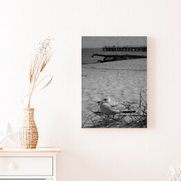 Obraz na płótnie Mewa na piaszczystej plaży 