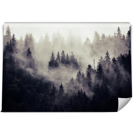 Fototapeta samoprzylepna Mglisty krajobraz z lasem jodłowym w stylu hipster vintage retro