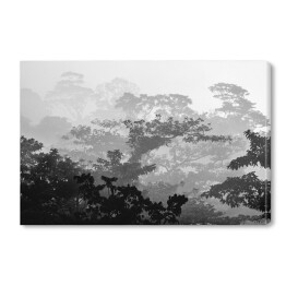 Obraz na płótnie Tropikalny las deszczowy w odcieniach koloru szarego