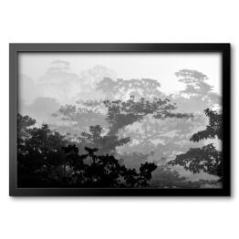 Obraz w ramie Tropikalny las deszczowy w odcieniach koloru szarego
