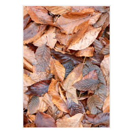 Plakat samoprzylepny Jesienne żółtopomarańczowe liście