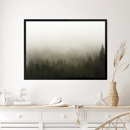 Obraz w ramie Las we mgle w deszczową pogodę