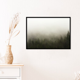 Plakat w ramie Las we mgle w deszczową pogodę