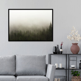 Plakat w ramie Las we mgle w deszczową pogodę
