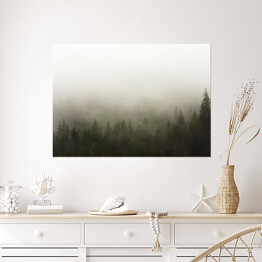Plakat samoprzylepny Las we mgle w deszczową pogodę