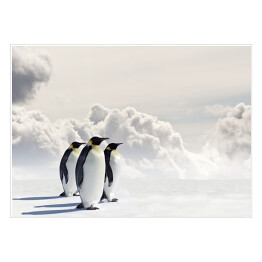 Plakat samoprzylepny Pingwiny cesarskie