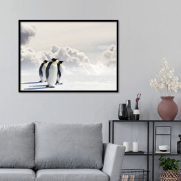 Plakat w ramie Pingwiny cesarskie