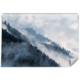 Fototapeta Stroma góra porośnięta lasem we mgle