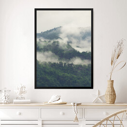 Obraz w ramie Zielony las na wzgórzach we mgle
