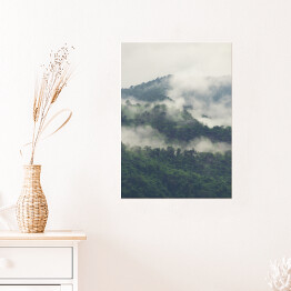 Plakat samoprzylepny Zielony las na wzgórzach we mgle