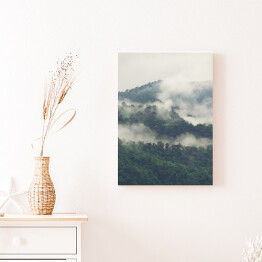 Obraz na płótnie Zielony las na wzgórzach we mgle