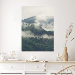 Plakat Zielony las na wzgórzach we mgle
