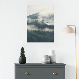 Plakat Zielony las na wzgórzach we mgle