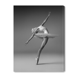 Obraz na płótnie Balerina w tutu i pointe shoes robi piękną pozę