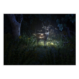 Plakat samoprzylepny Jeleń wśród świetlików w lesie nocą 