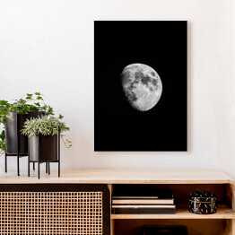 Obraz na płótnie Księżyc