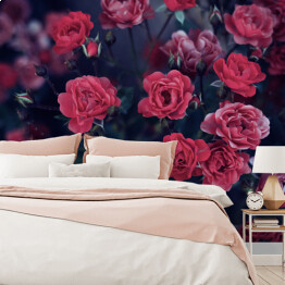 Fototapeta winylowa zmywalna Ciemnoczerwone róże wśród ciemnych liści