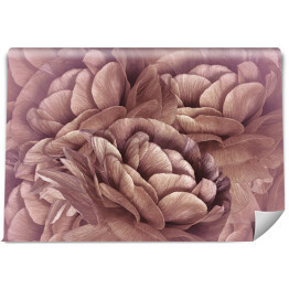 Fototapeta winylowa zmywalna Kwiaty w kolorze brudnego różu