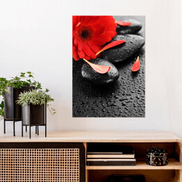 Plakat samoprzylepny Czerwony kwiat na kamieniach do masażu