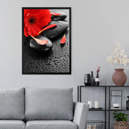 Obraz w ramie Czerwony kwiat na kamieniach do masażu