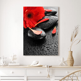 Obraz na płótnie Czerwony kwiat na kamieniach do masażu