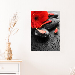 Plakat samoprzylepny Czerwony kwiat na kamieniach do masażu