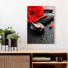 Obraz na płótnie Czerwony kwiat na kamieniach do masażu