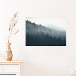 Plakat Tajemniczy kanadyjski las we mgle
