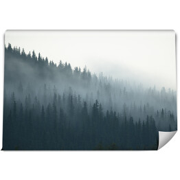 Fototapeta Tajemniczy kanadyjski las we mgle