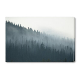 Obraz na płótnie Tajemniczy kanadyjski las we mgle