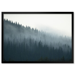 Plakat w ramie Tajemniczy kanadyjski las we mgle