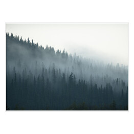 Plakat samoprzylepny Tajemniczy kanadyjski las we mgle