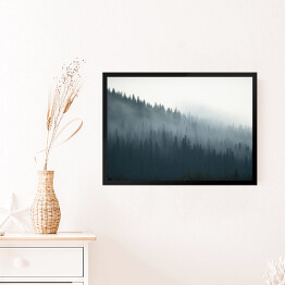 Obraz w ramie Tajemniczy kanadyjski las we mgle