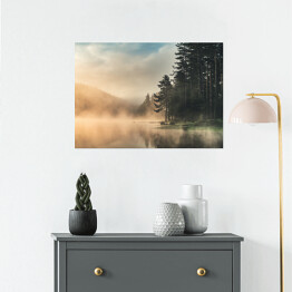 Plakat samoprzylepny Wiecznie zielony las spowity mgłą o wschodzie słońca